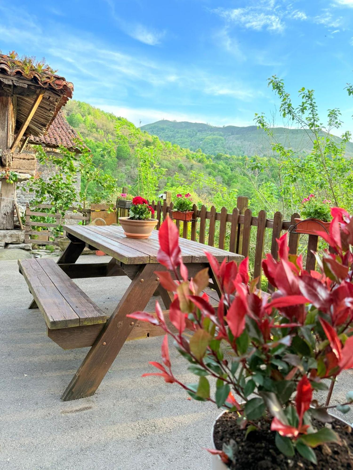 El Portiellu Apartment Cabielles Ngoại thất bức ảnh